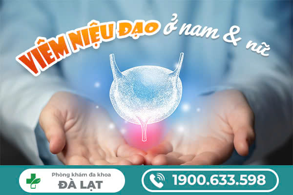 TRIỆU CHỨNG VIÊM NIỆU ĐẠO Ở NAM VÀ NỮ: NHẬN BIẾT SỚM ĐỂ ĐIỀU TRỊ SỚM